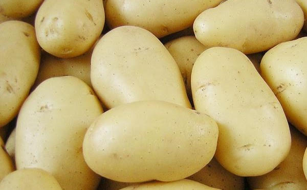 batata; foto: Embrapa