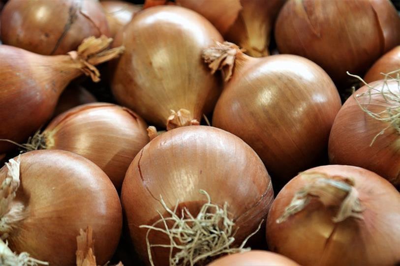 cebola. Foto: Pixabay