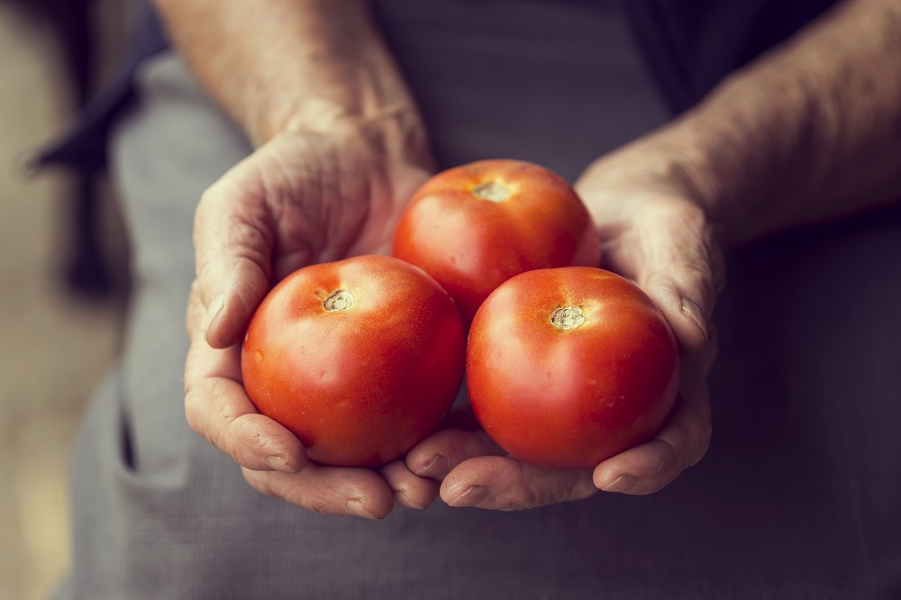tomate