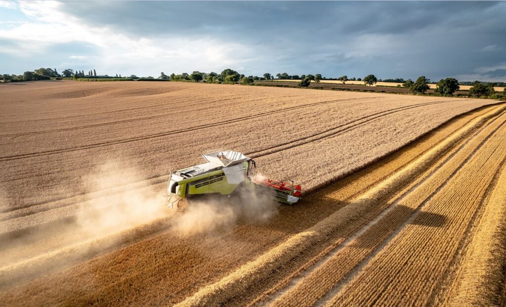 produção de grãos. Foto: Envato